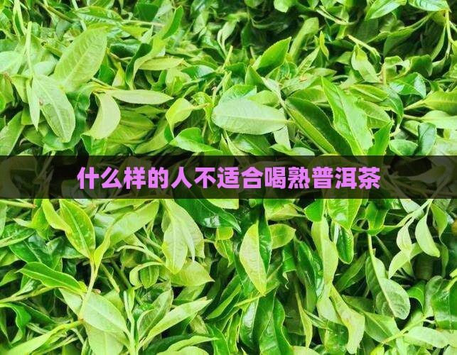 什么样的人不适合喝熟普洱茶