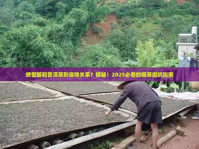 螃蟹脚和普洱茶有什么不同