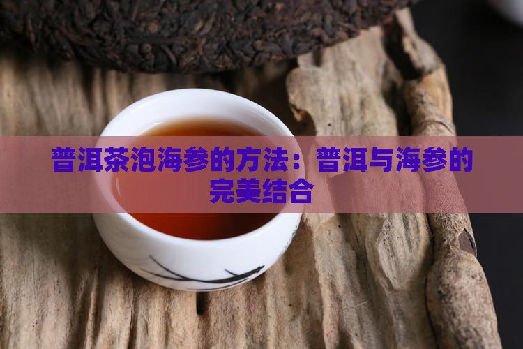 普洱茶怎么泡海参做法