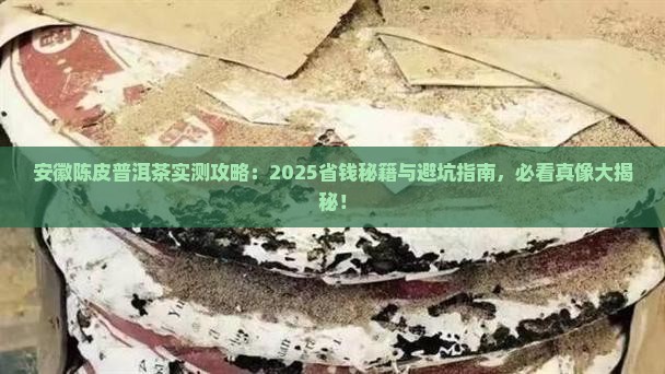 安徽陈皮普洱茶 安徽陈皮普洱茶
