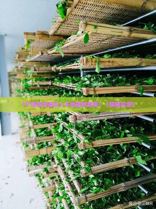 普洱茶含益生菌