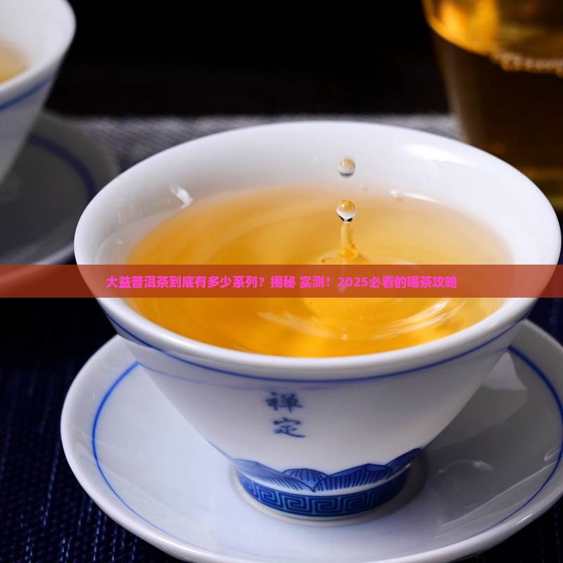 大益普洱茶有系列