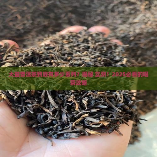 大益普洱茶有系列