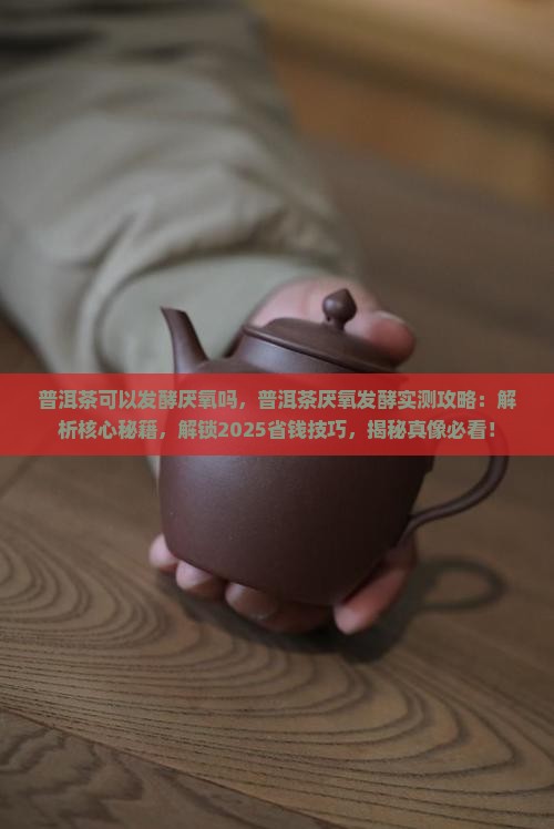 普洱茶可以发酵厌氧吗