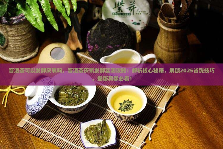 普洱茶可以发酵厌氧吗