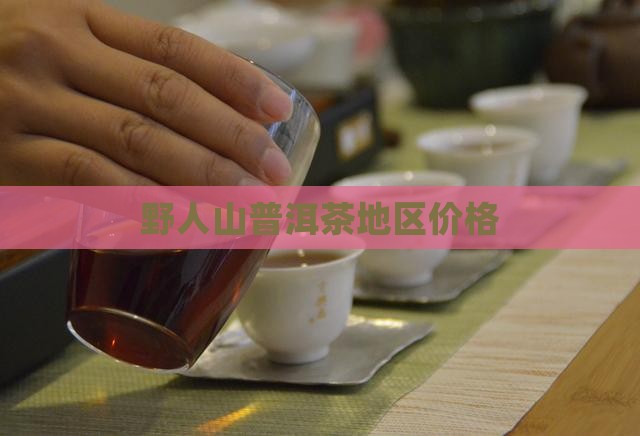 野人山普洱茶地区