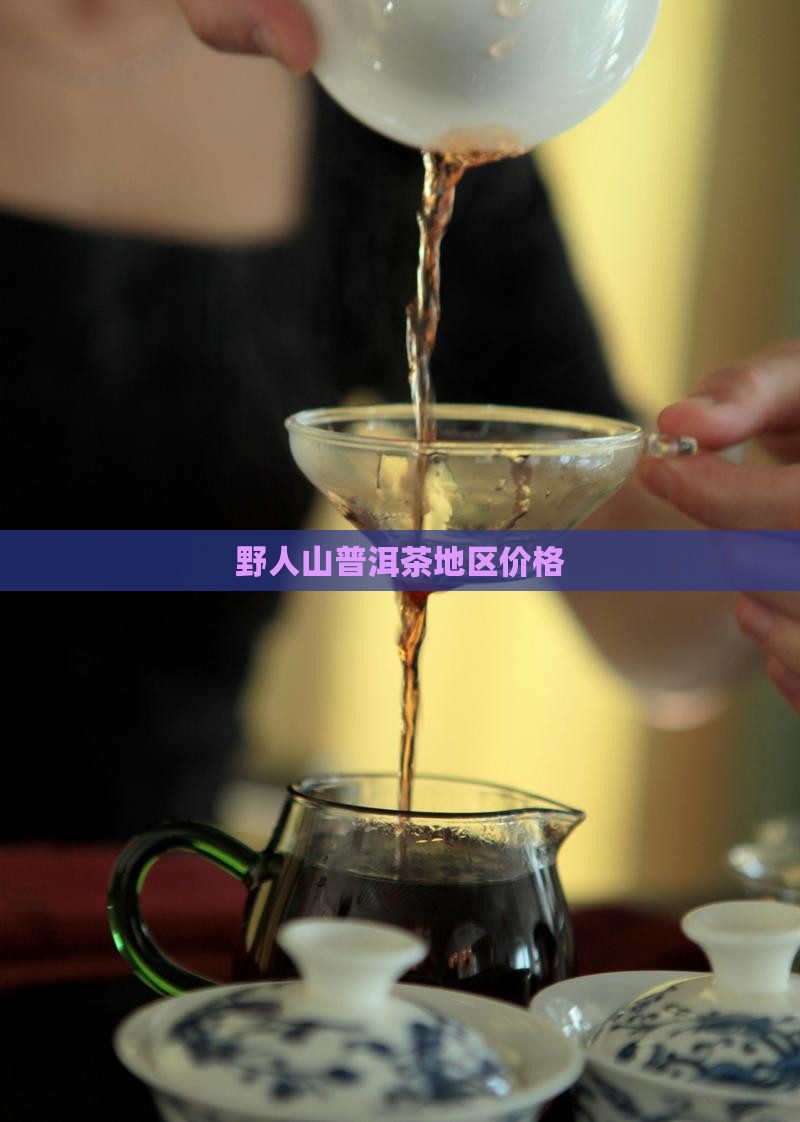 野人山普洱茶地区