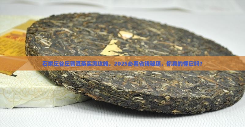 石家庄谷庄普洱茶