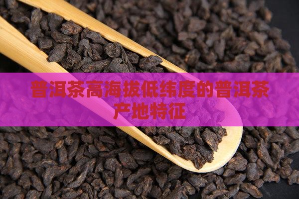 普洱茶高海拔低纬度