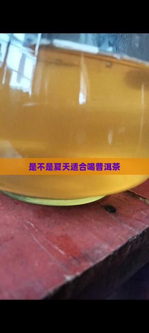 是不是夏天适合喝普洱茶