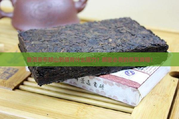 普洱茶布朗山特点