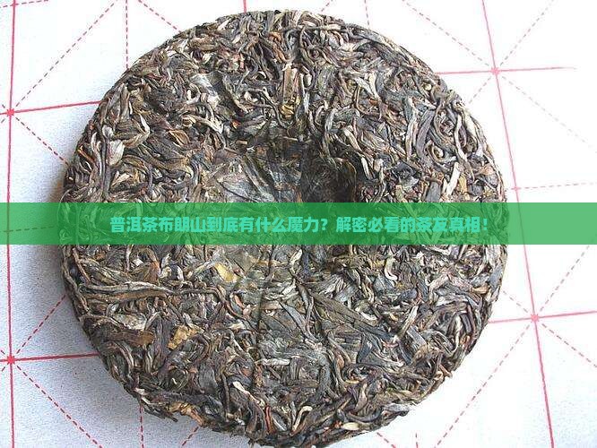 普洱茶布朗山特点