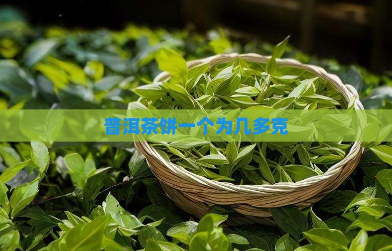 普洱茶饼一个为几多克