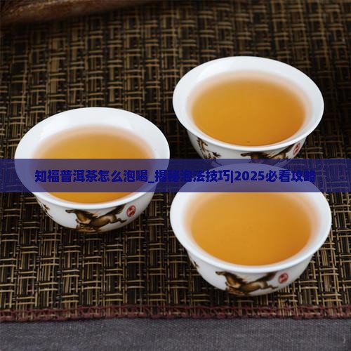 知福普洱茶怎么泡喝 知福普洱茶怎么泡喝
