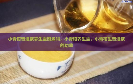 小青柑普洱茶养生壶