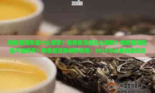 糯香普洱茶是什么意思