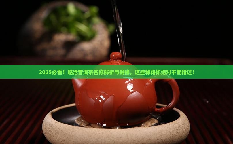 临沧普洱茶名称