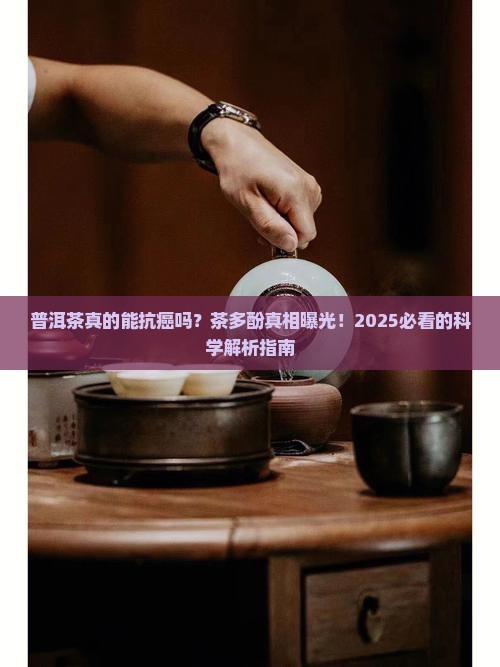 普洱茶和茶多酚