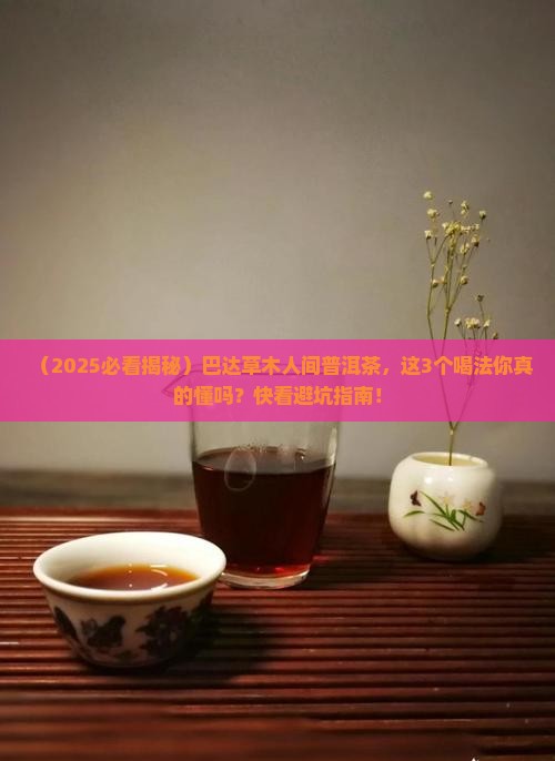 巴达草木人间普洱茶