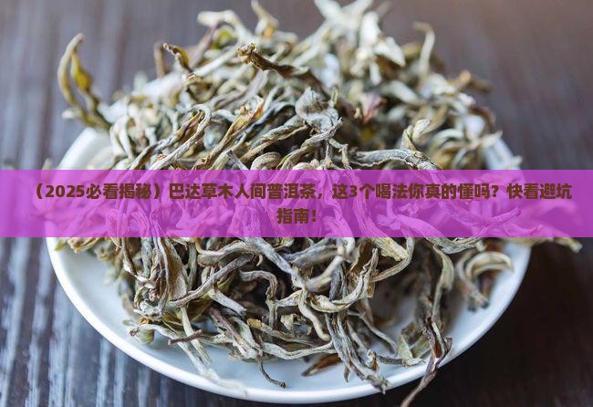 巴达草木人间普洱茶