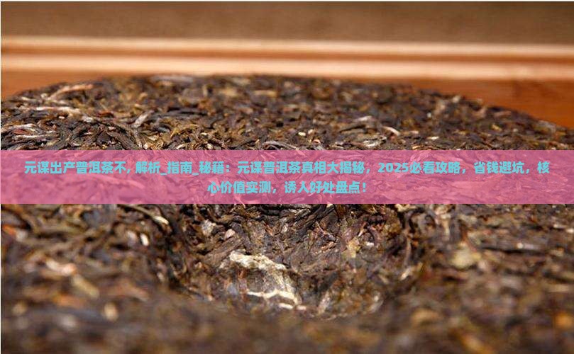元谋出产普洱茶不