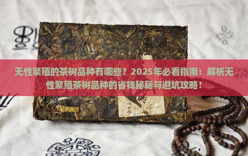 无性繁殖的茶树品种有哪些