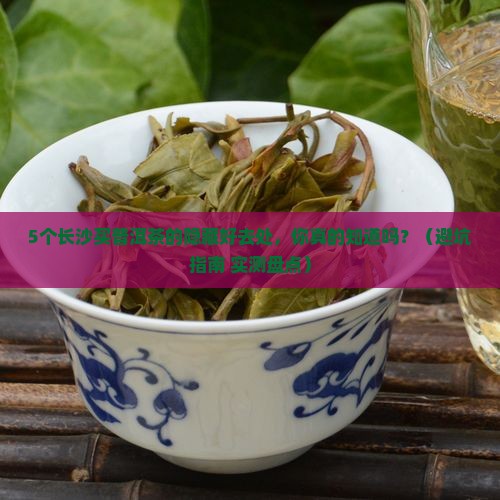 长沙去哪里买普洱茶好