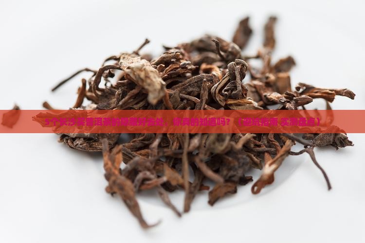长沙去哪里买普洱茶好