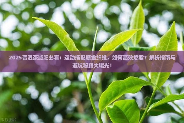 普洱茶减肥运动和膳食纤维
