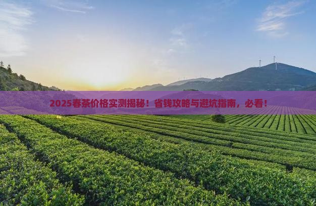 今年春茶价格是多少