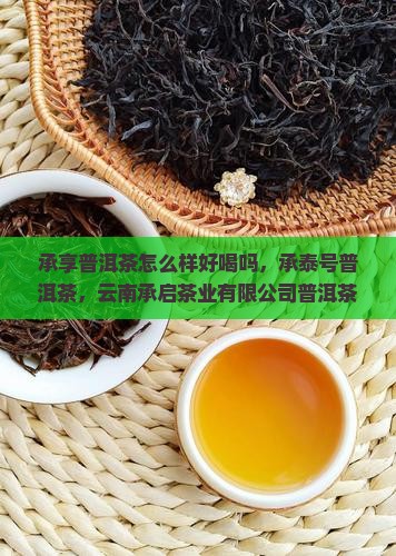 承享普洱茶怎么样