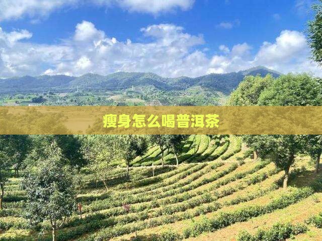 瘦身怎么喝普洱茶