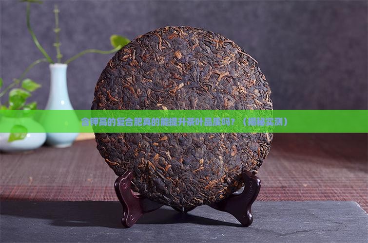 含钾高的复合肥对茶叶有好处吗