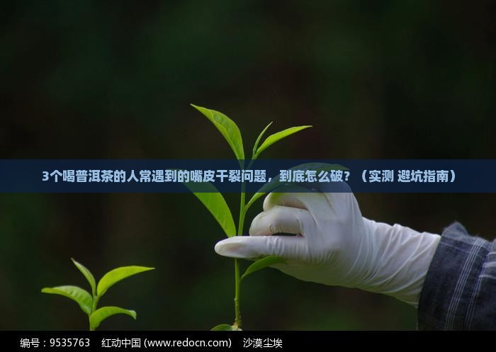 普洱茶喝后嘴皮干裂怎么回事