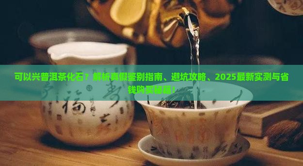 可以兴普洱茶化石