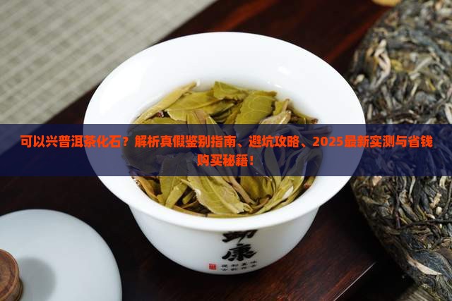 可以兴普洱茶化石