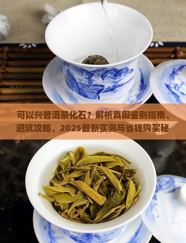 可以兴普洱茶化石