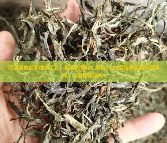 普洱茶的创新技术工艺