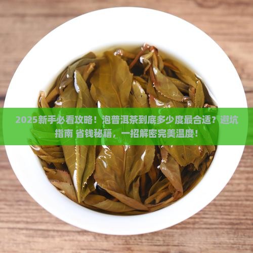 泡普洱茶合适的温度是多少度