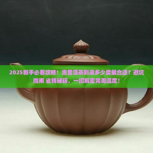 泡普洱茶合适的温度是多少度