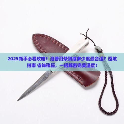 泡普洱茶合适的温度是多少度