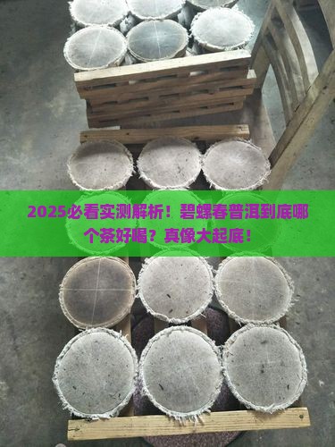 碧螺春普洱哪个茶好喝