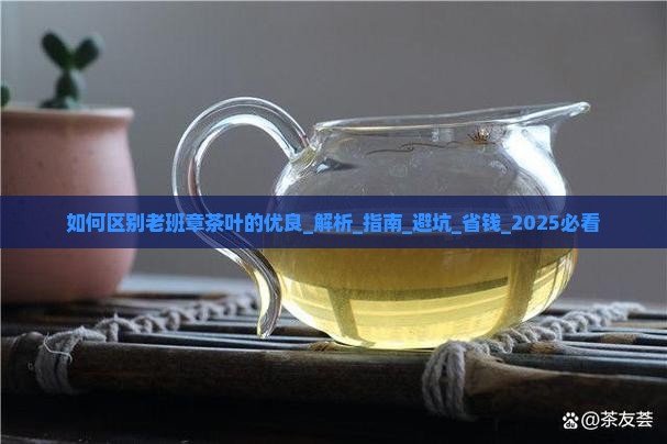 如何区别老班章茶叶的优良