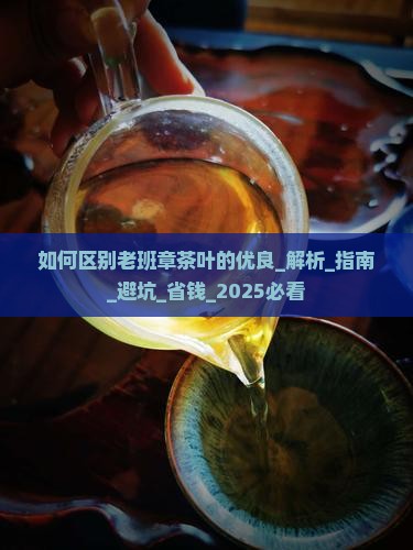如何区别老班章茶叶的优良