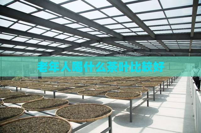 老年人喝什么茶叶比较好