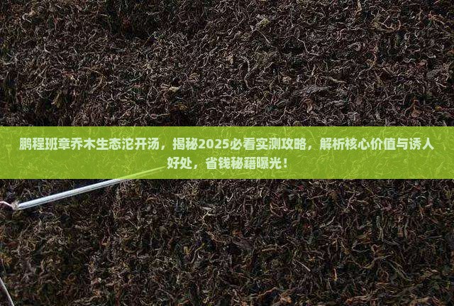 鹏程班章乔木生态沱开汤
