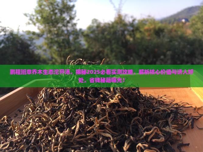 鹏程班章乔木生态沱开汤