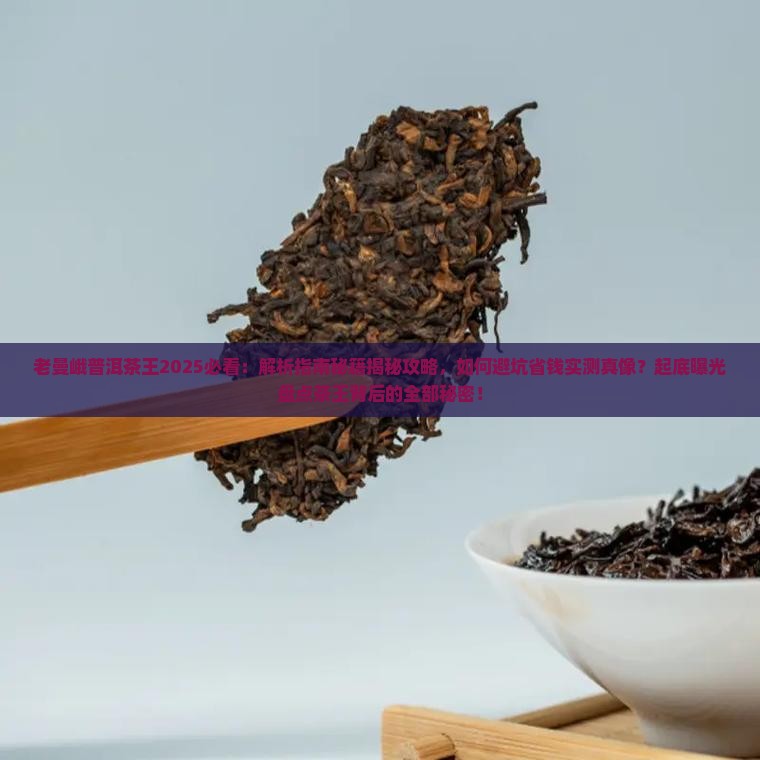 老曼峨普洱茶王