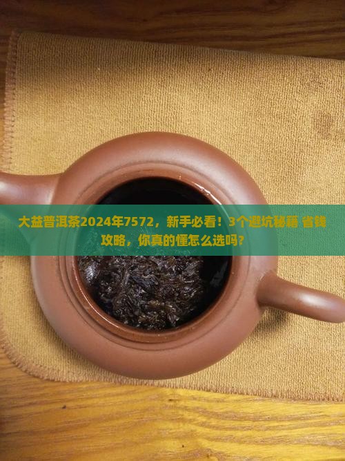 大益普洱茶2024年7572