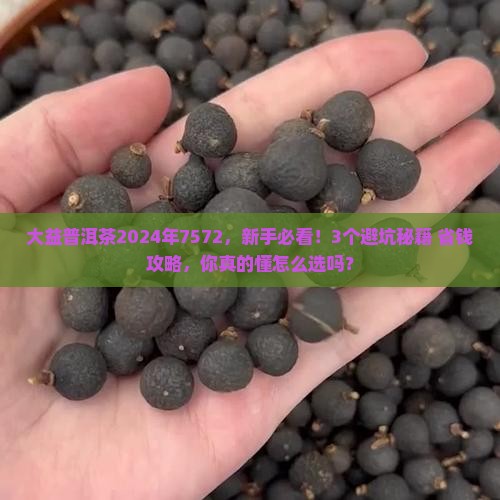 大益普洱茶2024年7572